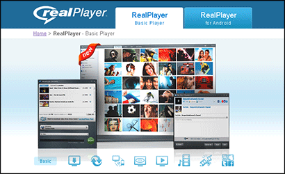 Screenshot of the page fragment Site Real